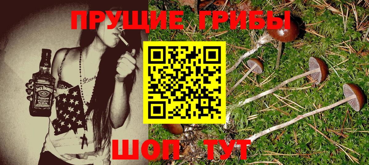 Псилоцибиновые грибы Cubensis  продажа наркотиков  Псилоцибиновые грибы ЛСД  Карпинск  Вход с VPN 