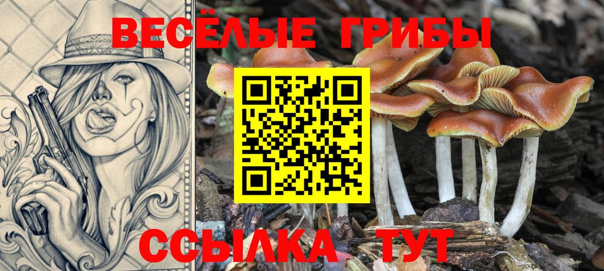 Галлюциногенные грибы MAGIC MUSHROOMS Карпинск